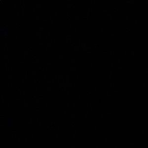 Meet your Posher, Ricky